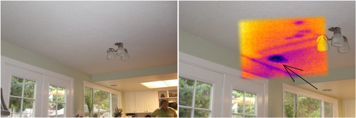 infrared-comparison-toilet-leak