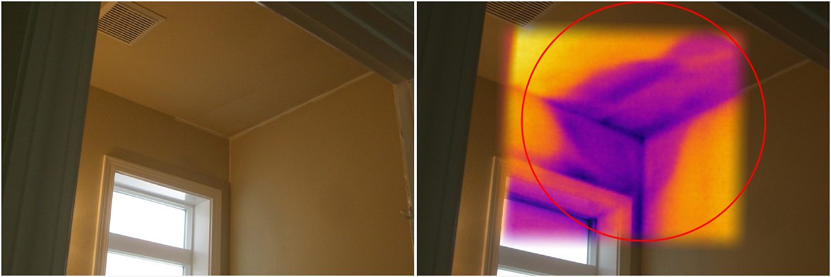 infrared-image-of-roof-leak